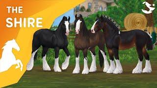 The MAGNIFICENT updated Shire | Star Stable Horses