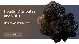 Basics of Attributes and VOPs – Houdini Attributes and VOPs ep. 1