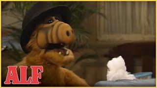 ALF is Addicted to Cotton | ALF | S4 Ep6 Clip