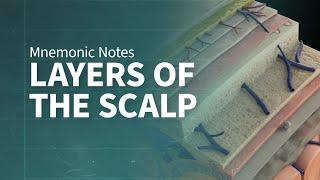 Mnemonics Notes: Layers of the Scalp