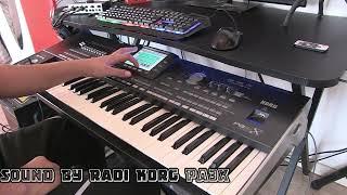 Radi Sound By Korg pa3x