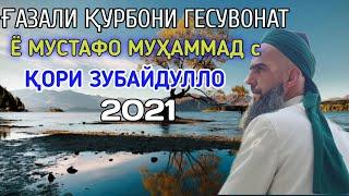 КОРИ ЗУБАЙДУЛЛО ГАЗАЛИ Ё МУСТАФО МУХАММАД С 2021