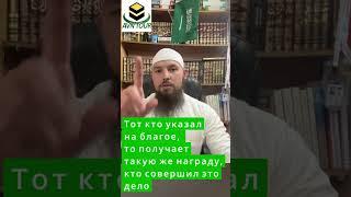 Как попасть на Святые места без денег #Мекка #Медина