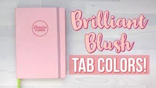 2020 BRILLIANT BLUSH Passion Planner - WHAT TABS MATCH?!