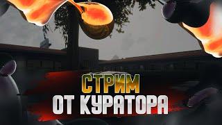 СТРИМ ОТ КУРАТОРА | SAMP ARIZONA RP BRAINBURG