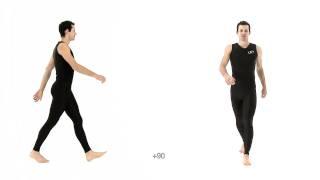 Athletic Male Standard Walk - Realtime. Animation Reference Body Mechanics