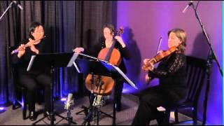 Canon in D (Pachelbel) for Mixed Trio (Flute, Viola, Cello)