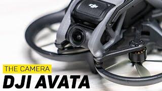 The DJI Avata Camera Is Insane (vs. GoPro Hero 10 & Action 2)