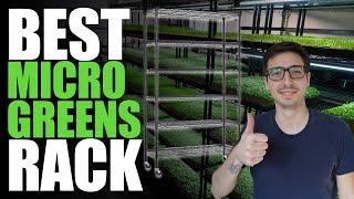 Best Microgreen Rack (Easy & Efficient)