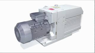 Rotary vane vacuum pump