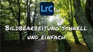 Lightroom - Waldbild mit wenigen Klicks verbessern! Einfach aufgepeppt #2