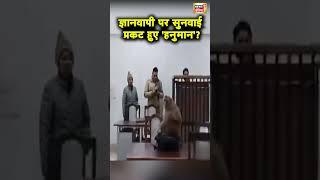 Varanasi की District Court में Gyanvapi केस की सुनवाई के दौरान पहुँचा बंदर | Kashi Vishwanath | N18S