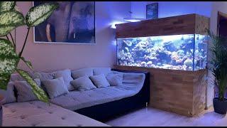 GERMAN REEF TANKS - 1000 Liter Meerwasseraquarium - ultra HD #reeftank #aquarium #salzwasseraquarium