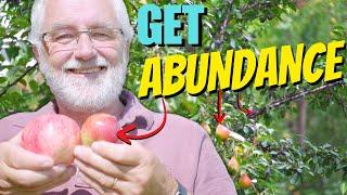 PRO TIPS to EASY Fruit Tree ABUNDANCE