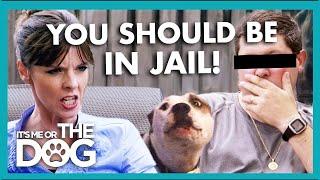 Victoria Wants to Send Owner Who 'Beats Up' his Dog to JAIL | It's Me or The Dog