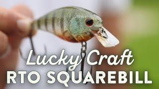 The Lucky Craft RTO Squarebill | Up-Close & Underwater