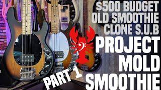 Project Mold Smoothie Pt. 1- Introducting the $500 Old Smoothie Clone Project!- LowEndLobster Builds