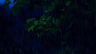 Rain on the leaves of the trees in the forest at night with a dark screen for sleep