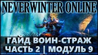 NEVERWINTER ONLINE - Воин-страж гайд: дары, спутники, экипировка