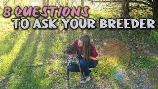 8 Questions to Ask Your Breeder Before Getting a Puppy