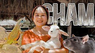 Forgotten Cuisine: The Extreme Diet of Vietnam’s Cham People