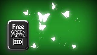 Green screen white butterfly flying video effects | butterfly green screen |green screen butterflies