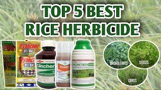 TOP 5 BEST RICE HERBICIDE | Vlog#12