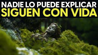 ESTO ES: 21 Lugares Más MISTERIOSOS Que Los Científicos Aún No Pueden EXPLICAR.