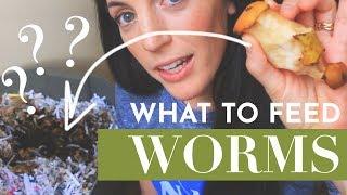 What Can Worms Eat in the Vermicompost?  |  Garden  |  Hey It's A Good Life