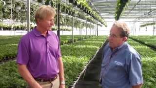 IPM Tips – Start a Successful Integrated Pest Management Program