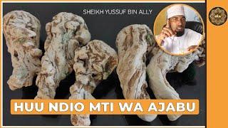 HUU NDIO MTI WA AJABU (MIRACLE MEDICINE).... SHEIKH YUSSUF BIN ALLY|   عرق السواحل النباتي