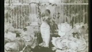 The Cabbage-Patch Fairy (1896 / 1900), dir. Alice Guy-Blaché