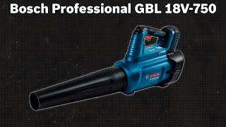 Akku-Gebläse Bosch Professional GBL 18V-750 (06008D2000) | TEST | Deutsch