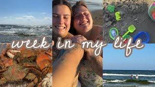 week in my life: surprise party gone wrong | big family beach trip | life updates