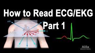 How to Read ECG/EKG,  Part 1, Animation