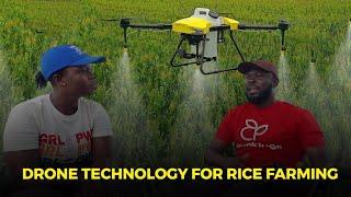 How The Biggest Rice Producer In Ghana Uses Drones To Farm: Saves Cost