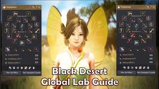 BDO Global Lab guide/ Black Desert Global Lab guide
