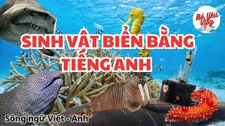 Học các con vật bằng tiếng Anh