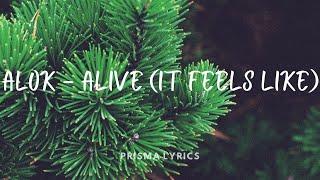 Alok - Alive (It Feels Like) [lyrics]