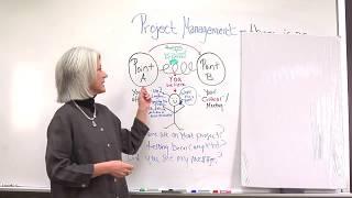 Project Management Software - How to Use it