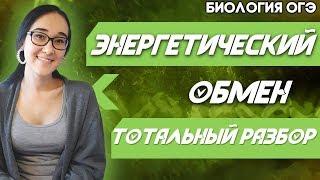 ОГЭ Биология 2021 | Энергетический обмен | Его этапы