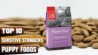 Best Puppy Foods for Sensitive Stomachs in 2024 (Top 10 Picks)