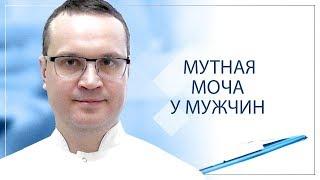 Мутная моча у мужчин