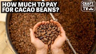 The Cost of Cacao | Ep.37 | Craft Chocolate TV