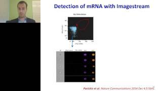 Filippos Porichis - Detection of RNAs with flow cytometry