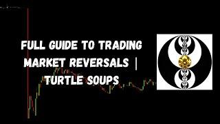 ICT Gems - Full Guide to Trading Market Reversals | Turtle Soups