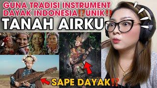 SAPE DAYAK⁉️TANAH AIRKU-GABRIEL DRANNOKTAH(EDM X SAPE DAYAK)|TRADITIONAL INSTRUMENT DAYAK(AKUSTIK)