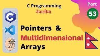 Pointers and Multidimensional Arrays Relationship | C Programming Tutorial in Nepali #53