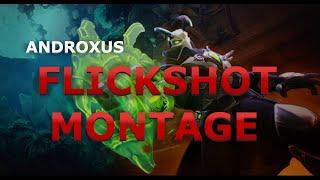ANDROXUS FLICK SHOT MONTAGE | paladins |