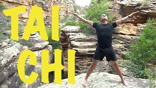 12 Minute Tai Chi Routine | Amazing